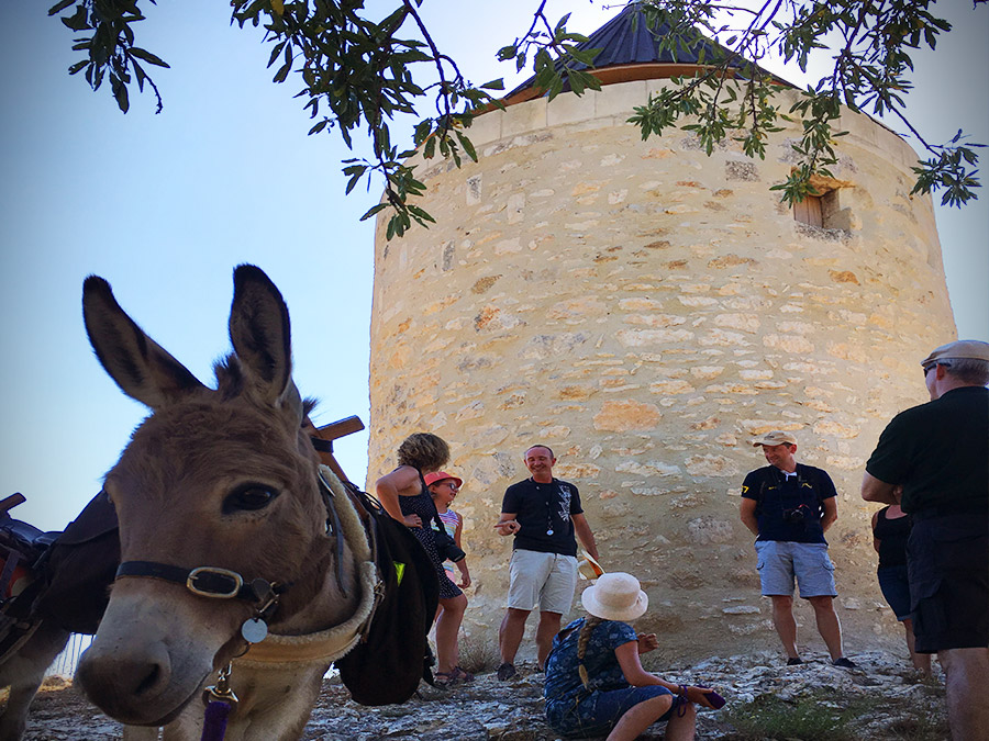 Le sentier des Moulins à Fontvieille avec un guide