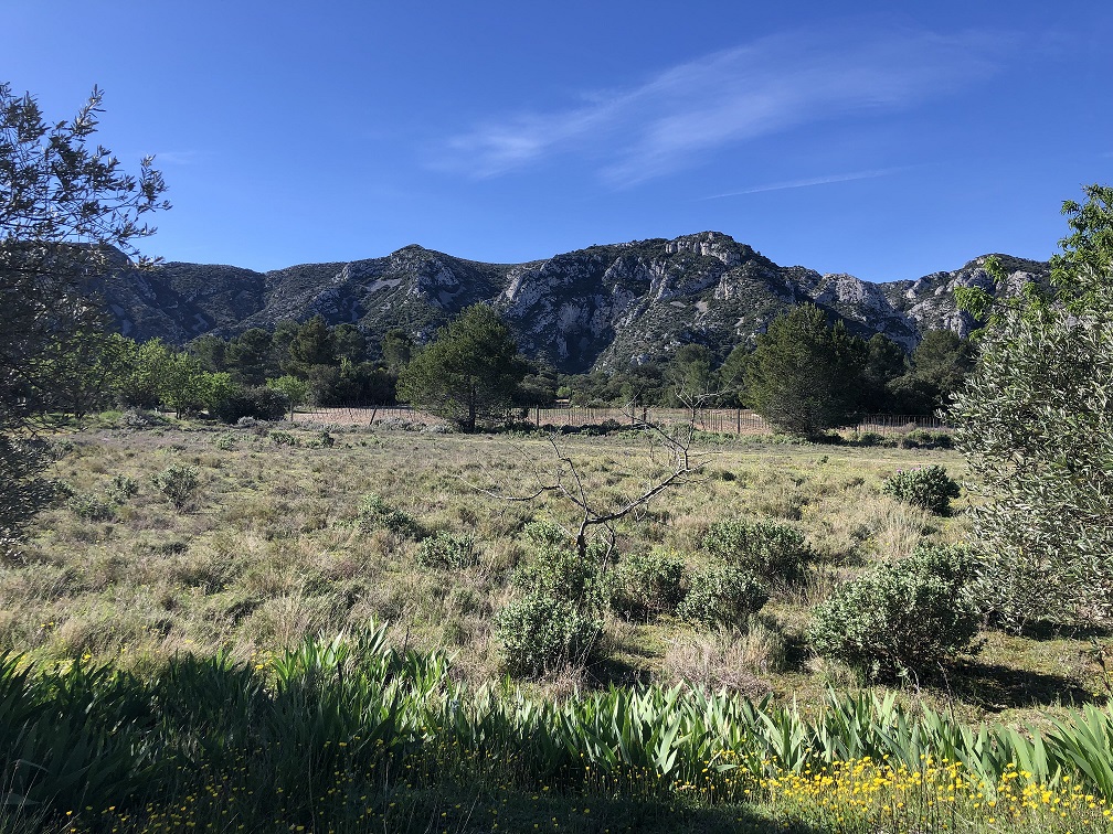 La Grosse Galine à St Rémy de Provence